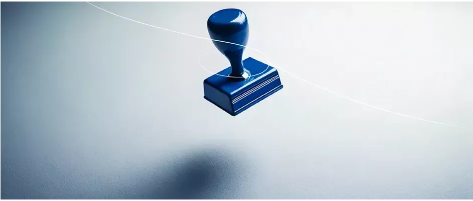 Public Sector Recruitment Expertise